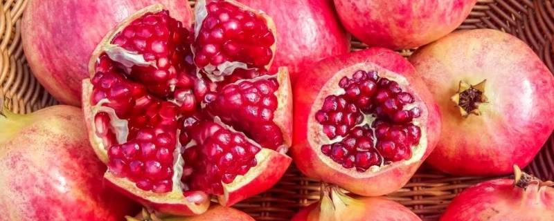软籽石榴能存放多久