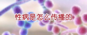 性病是怎么传播的