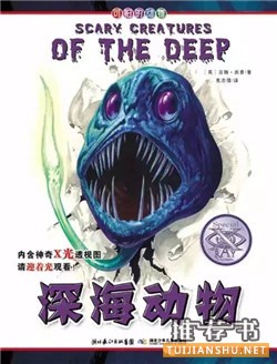 【童书推荐】关于