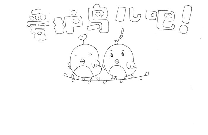 关于保护鸟的手抄报怎么画