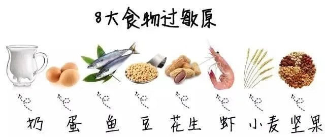 宝宝辅食添加容易踩的5大坑