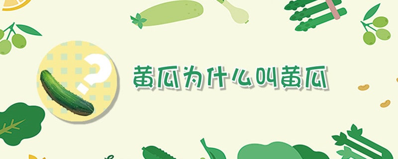 黄瓜为什么叫黄瓜