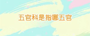 五官科是指哪五官