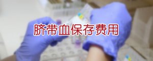 脐带血保存费用