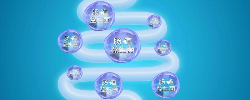 益生菌哪个品牌的比较好一点