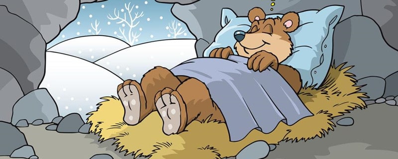 10种冬眠的动物