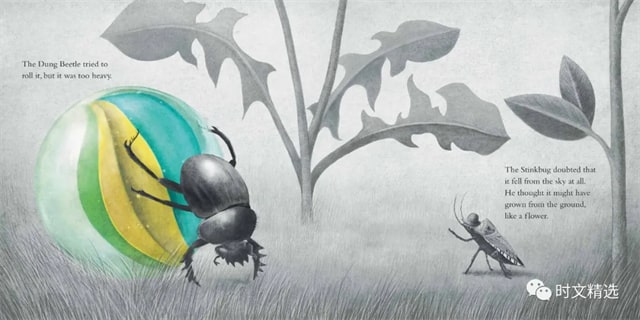 2021年《纽约时报》最佳儿童绘本