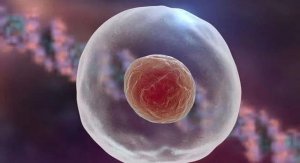 排卵期生男孩的技巧