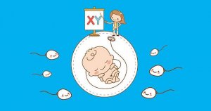 2022年必定生男孩的月份