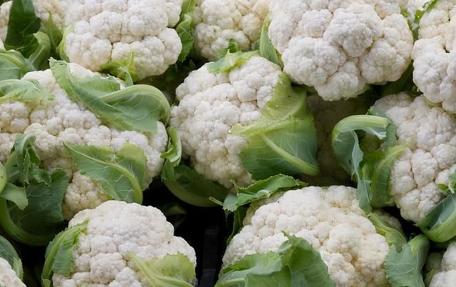 孩子吃什么能长高