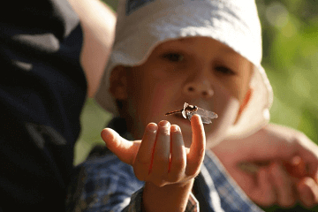 2022虎年最旺男孩名字取名小窍门