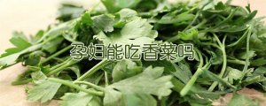孕妇能吃香菜吗