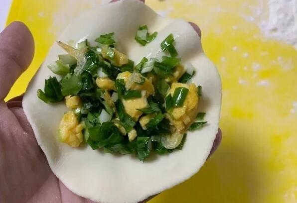 大个韭菜馅饺子