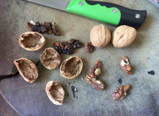 传统腊八粥的8种材料