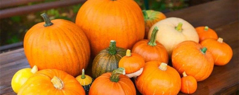 孕妇能吃南瓜吗？