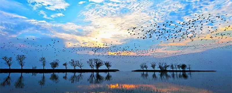 洞庭湖是我国第几大淡水湖