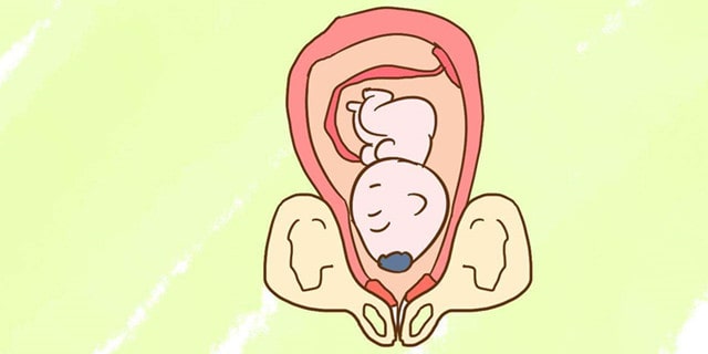 胎儿一般几周入盆？