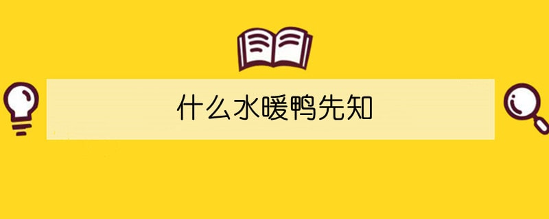 什么水暖鸭先知