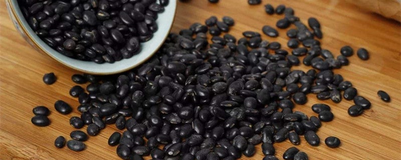 儿童白头发吃什么好