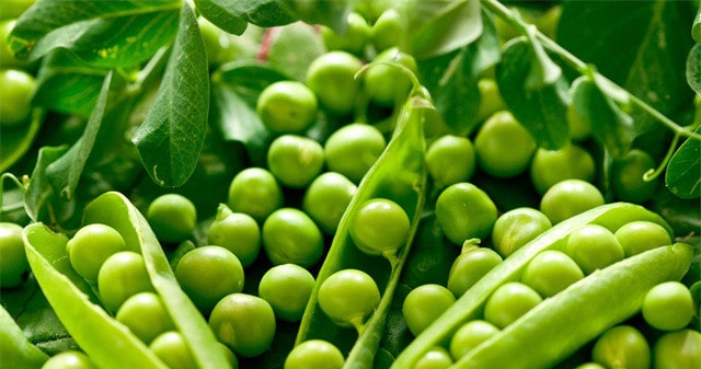 吃什么蔬菜有催奶的作用