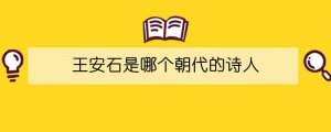 王安石是哪个朝代的诗人