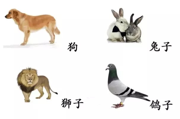 24个宝宝认知能力训练方法