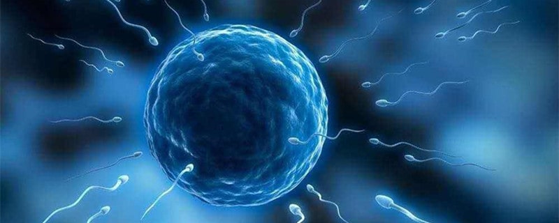 人工授精的过程与费用