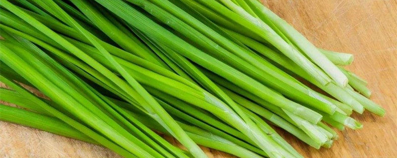 孕妇能吃韭菜吗