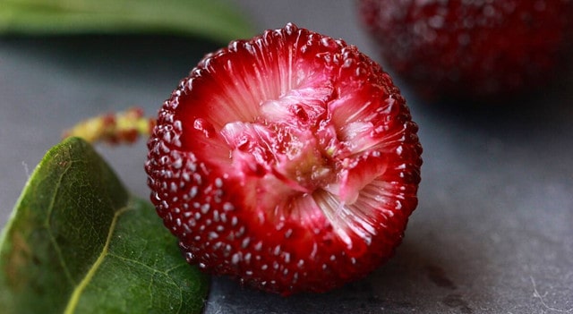 杨梅核是否能吃