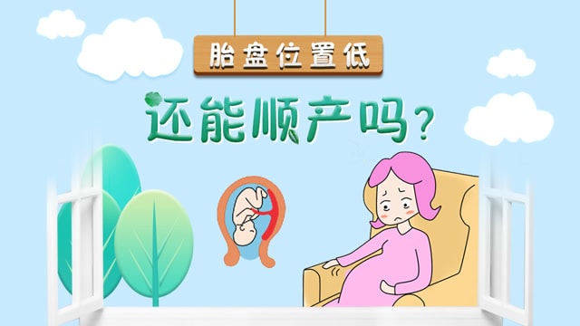 胎盘位置低能顺产吗