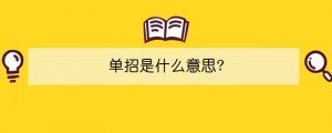 单招是什么意思?