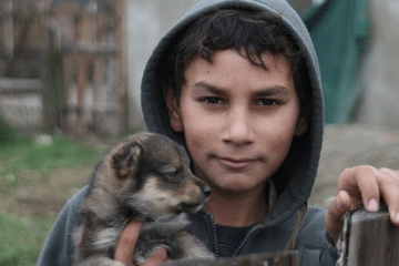 男孩子取名字霸气的名字虎年取名方法