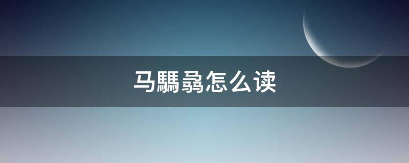 马騳骉怎么读