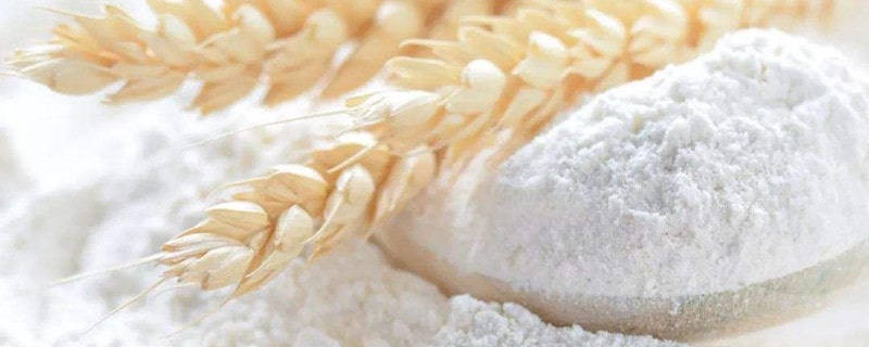面粉是什么做的