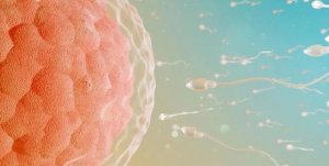 男人错过最佳生育年龄会有什么问题？