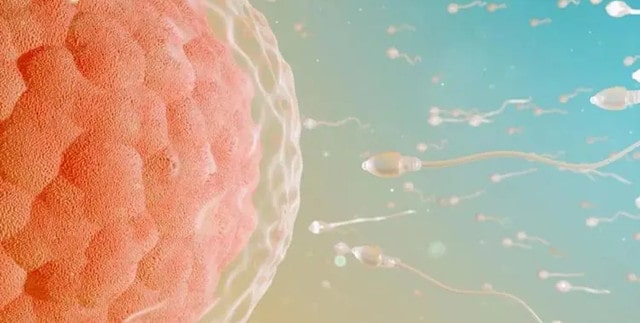 男人错过最佳生育年龄会有什么问题？