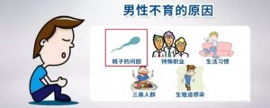 男性不孕不育的原因
