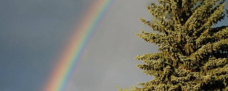 彩虹的颜色有哪些