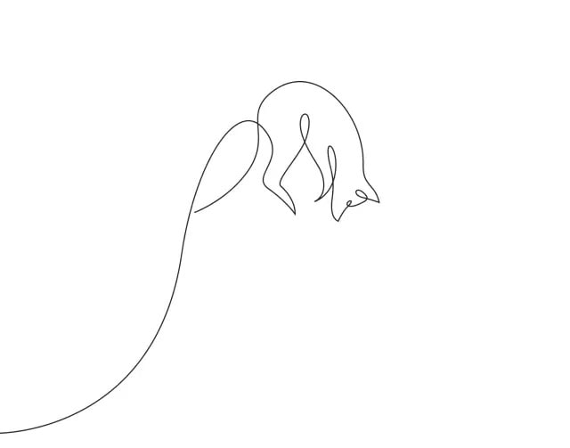 一笔画完简笔画