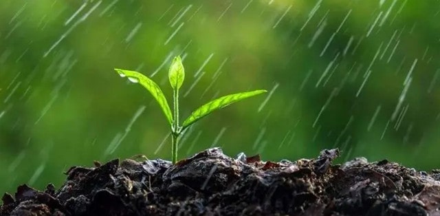 神奇的春雨作文400字