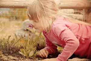虎年女宝宝名字大全2022有寓意