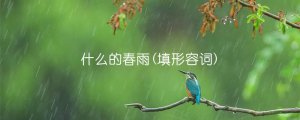 什么的春雨(填形容词)