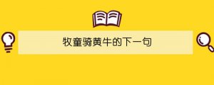 牧童骑黄牛的下一句