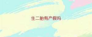 生二胎有产假吗