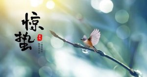 关于惊蛰的古诗词唯美12首
