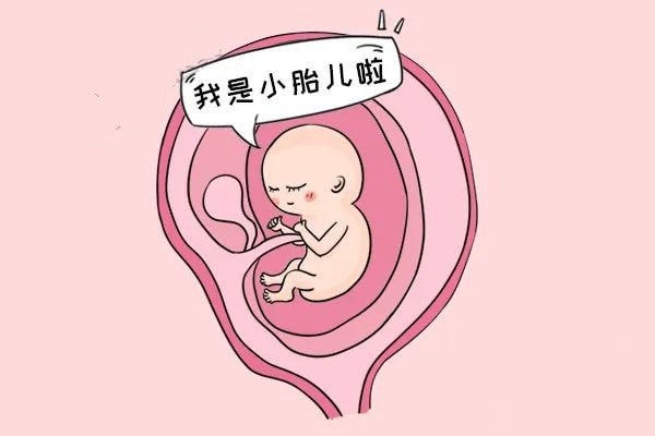 怀孕期间注意事项，胚胎最怕这些事