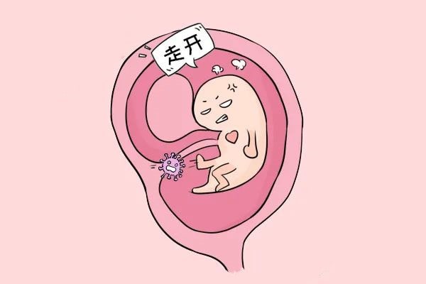 怀孕期间注意事项，胚胎最怕这些事