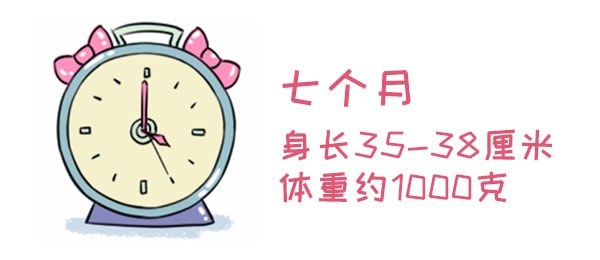 怀孕期间注意事项，胚胎最怕这些事