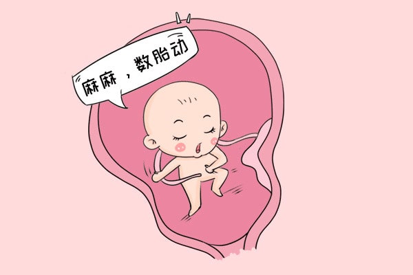 怀孕期间注意事项，胚胎最怕这些事