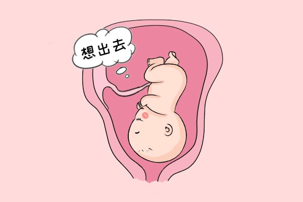 怀孕期间注意事项，胚胎最怕这些事